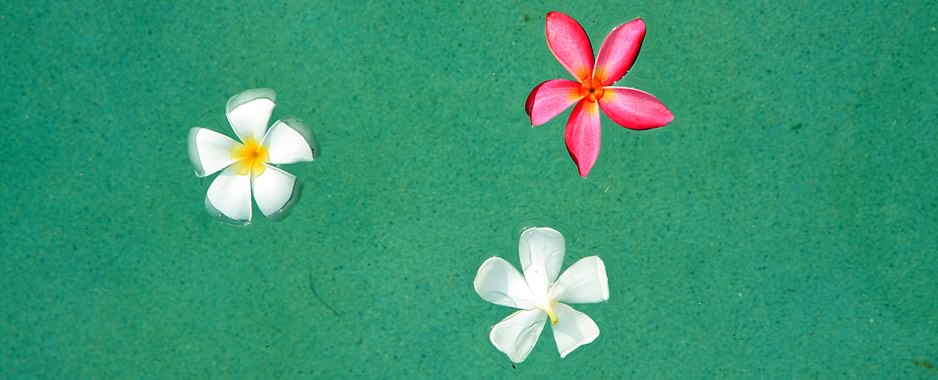 Succes in je relatie - Relatietherapie: Amersfoort, Vathorst, Gooi, Utrecht e.o. shop - Mental Balance